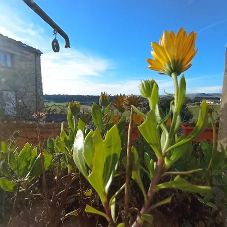 Maison d'hôtes Casa Pardal Coliving & Coworking à Sant Pere Sallavinera Extérieur photo