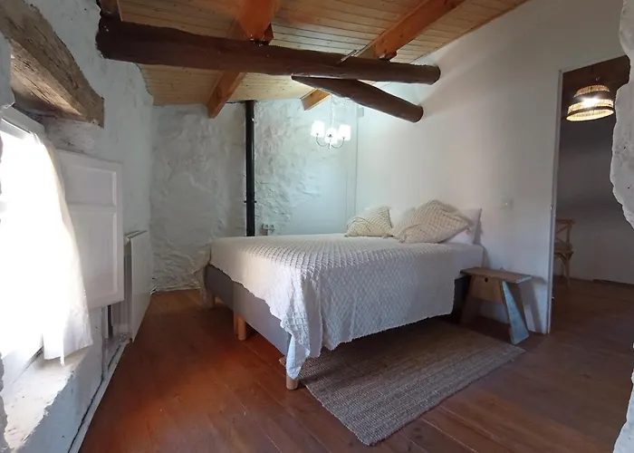 Casa Pardal Coliving & Coworking
