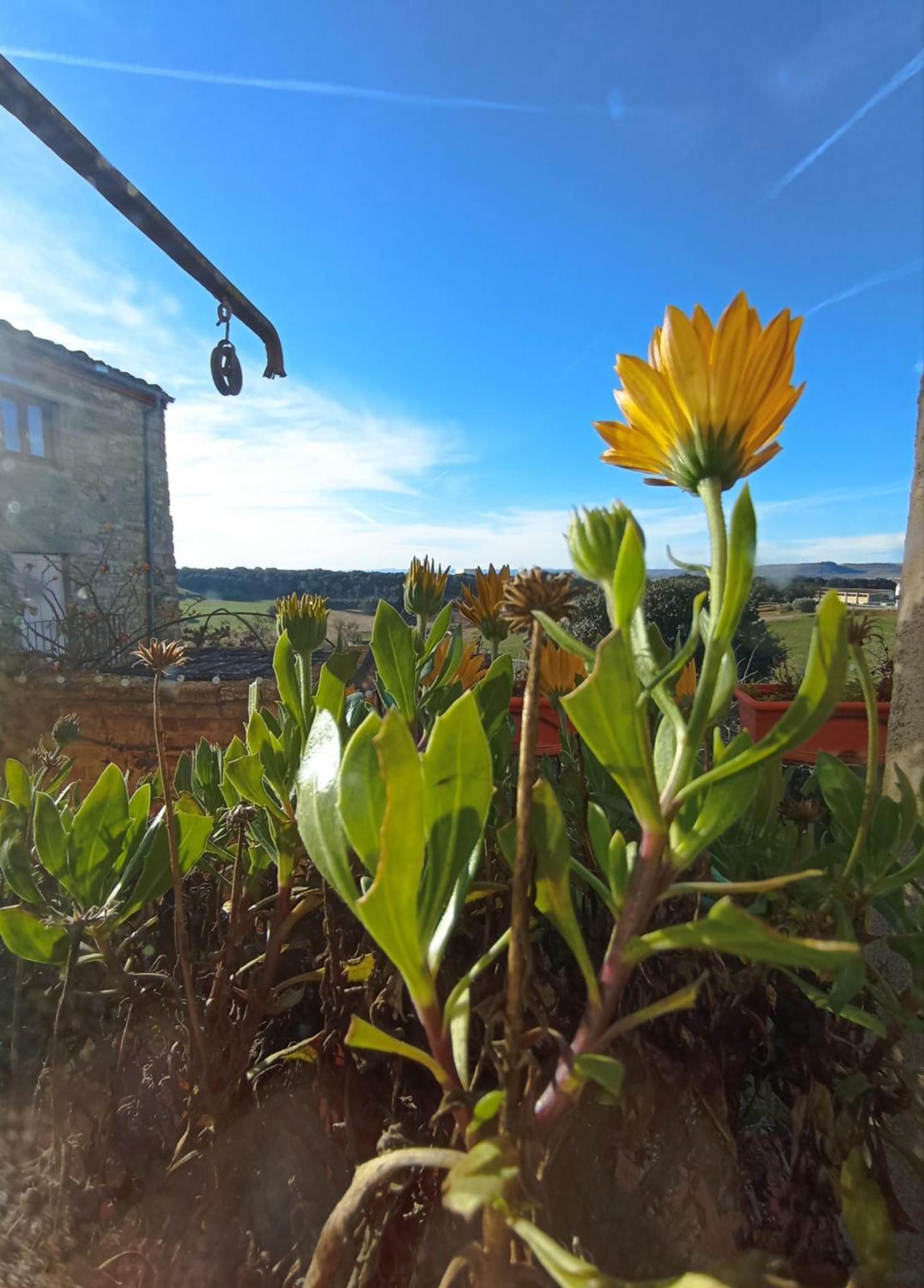 Country house Casa Pardal Coliving & Coworking